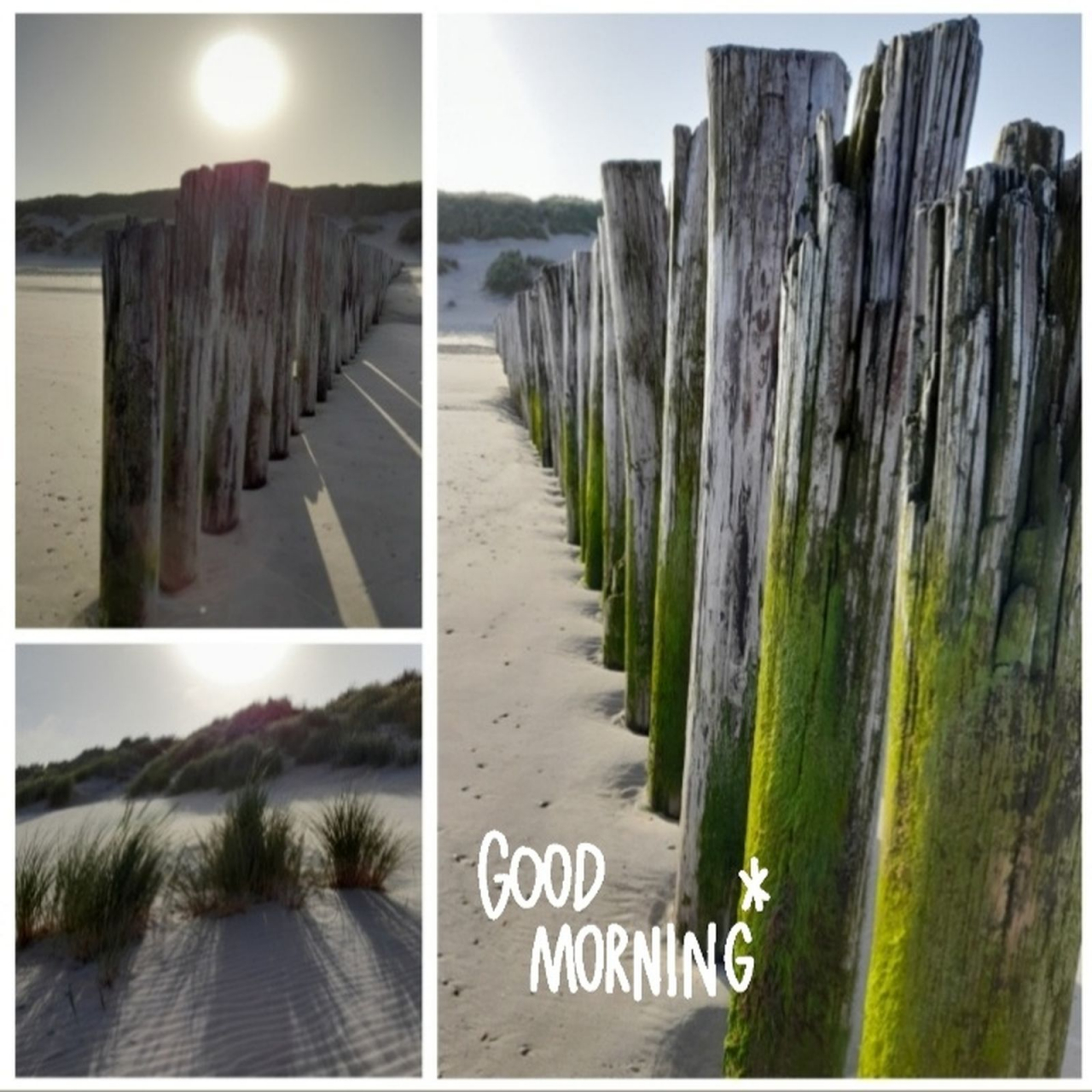 screenshot_20220618-093517_instagram_ergebnis