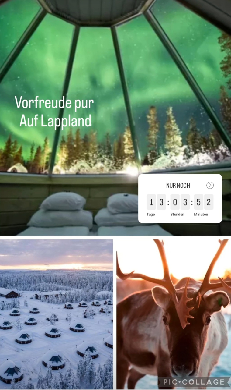 screenshot_20241211_201053_instagram